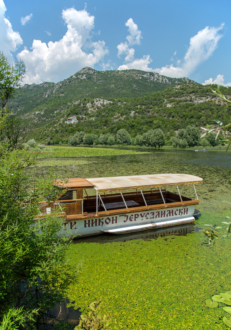 Моя Черногория (день седьмой: Скадарское озеро, река Црноевича, Будва)